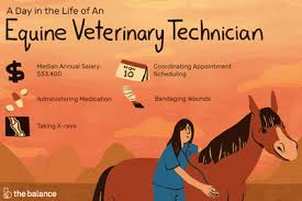 Nevertheless, job seekers mention them much more commonly in their resumes. Pet Sitter Job Description Salary Skills More Veterinary Technician Veterinary Veterinarian Assistant