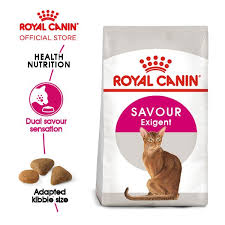 Jual makanan kucing royal canin persian kitten murah harga promo bisa kirim jakarta tangerang. Toko Online Royal Canin Official Shop Shopee Indonesia