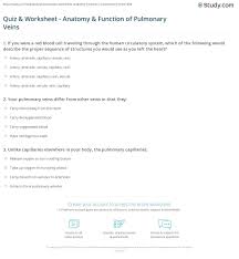 Quiz Worksheet Anatomy Function Of Pulmonary Veins Study Com