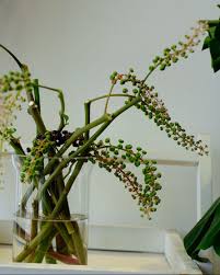 Lá Hồng Sâm - L'amour Flower