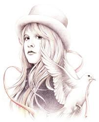 White Winged Dove By Johanna Pieterman Stevie Nicks Stevie Dove Drawing
