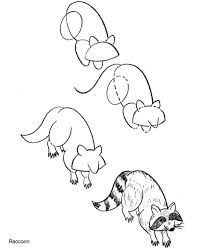 How To Draw Wild Animals In 2021 Animal Drawings Drawings Raccoon Drawing