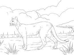 Maybe you would like to learn more about one of these? Giraffe Baby Animal Coloring Pages Novocom Top