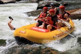 Trending images and videos related to rafting! Up A Creek Awkwardfamilyphotos Com 11 21 2014 White Water Rafting Rafting Trips Rafting