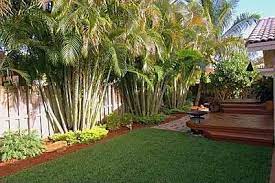 The best thing about the plants we've listed here is that most of them can be grown in containers too. 28 Excellent Landscaping Ideas For Tropical Backyard Thorplc Com Tropical Backyard Landscaping Tropical Landscaping Tropical Backyard
