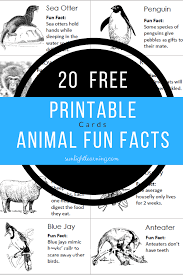20 Free Animal Fun Facts Cards From Sunlight Learning Animal Facts For Kids Fun Facts For Kids Fun Facts