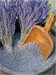 French Lavender Super Blue Loose Flower Buds Per Pound For Only 14 99 Lavender Flowers Dried Lavender Plants