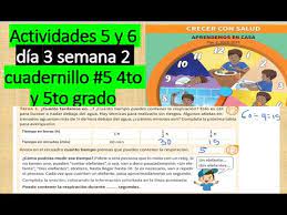 Cuadernillo entrada1 matematica_5to_grado from image.slidesharecdn.com primaria 4to y 5to grado cuaderno 1 · ← cuadernillos de actividades todos los niveles. Barbara Hationes Cuadernillo Proyectomultigradopararepasoenvacaciones 5to Grado El Cuadernillo Numero De 5 De 4to Y 5to De Primaria Presentacion Del Nuevo Cambio Youtube