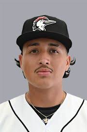 Arturo Flores Stats, Age, Position, Height, Weight, Fantasy & News