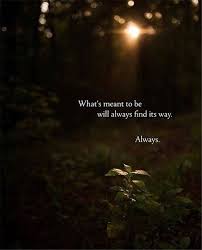 20 Funny Inspirational Quotes You Re Going To Love Great Inspirational Quotes Funny Inspirational Quotes Motivational Words
