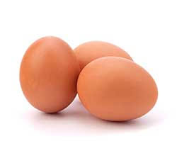 French Translation Of Egg Collins English French Dictionary