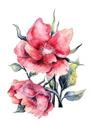 Check spelling or type a new query. Flower Print Large Watercolour Painting Print Botanical Illustration Flower Wall Art Print Garden F Watercolor Flowers Flower Painting Botanical Watercolor