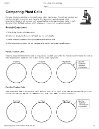 Animal vs plant cell lab. 35 Plant Cell Worksheets To Label Labels Database 2020