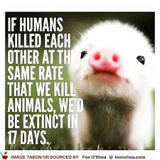 Did You Know That Definitely Food For Thought Animalwelfare Loveanimals Animalfriendly Animalre Animal Liberation Animal Advocacy Animal Activism