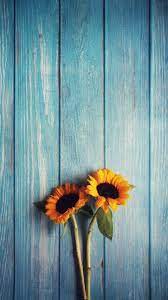 Iphone wallpaper for guys hd phone wallpapers man wallpaper tumblr wallpaper cute wallpapers baby blue aesthetic rainbow. L Ultima Iphone11 Iphone11 Pro Iphone 11 Pro Max Cellulare Sfondi Hd Download Gratuito Fiori Sunflower Wallpaper Cute Fall Wallpaper Fall Wallpaper