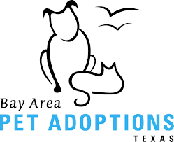 Click on a dog to find out more about them and check out our new virtual adoption events every saturday at 12 noon on facebook and instagram! Pets For Adoption At Bay Area Pet Adoptions Spca In San Leon Tx Petfinder