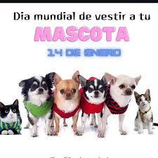 Día Mundial de Vestir a tu Mascota