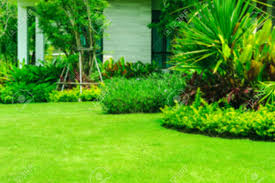 Browse hundreds of unique designs. Green Lawn The Front Lawn For Background Garden Landscape Design Stock Photo Picture And Royalty Free Image Image 111097787