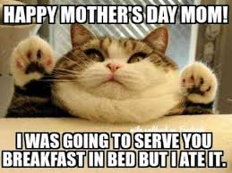 We also suggest you to make your mother relax and develop a sense of love and caring. 40 Mother S Day Memes She Ll Love In 2021 Funniest Memes For Moms