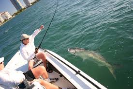 Best Fishing Spots In Miami By Boat W Gps Coordinates