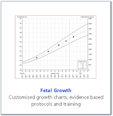 Fetal Growth Perinatal Institute