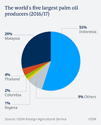 Its use in the commercial food industry in other though indonesia produces more palm oil, malaysia is the world's largest exporter of palm oil having exported 18 million tonnes of palm oil. Palm Oil Too Much Of A Good Thing Environment All Topics From Climate Change To Conservation Dw 07 08 2018