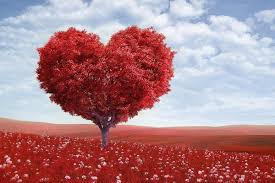 Trimite această felicitare muzicală soțului tău, surprindel cu acest minunat video clipcele mai frumoase felicitări muzicale pentru orice aniversare. Urari Si Mesaje De La Multi Ani