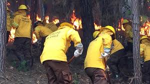 Levantan el estado de catástrofe por incendio en puerto chileno de valparaíso. Estado De Catastrofe En Chile Por 630 Incendios Forestales