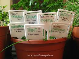 Wedding Favours Herbs As A Wedding Present Herb Puns Herb Labels Puns