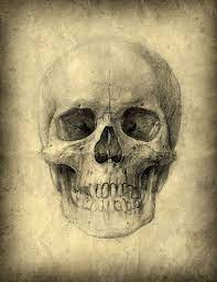 We did not find results for: Skull Canvas Love It Cranes Peints Les Arts Cranes Artistiques