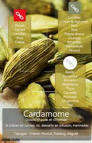 Cuisiner Avec La Cardamome Recettes De Cuisine Epices Cuisine