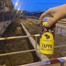 Image result for monika babi%u0161ov 