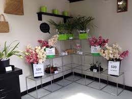 Free delivery and returns on ebay plus items for plus members. Nz Wholesale Slater S Orchids