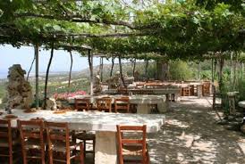 taverna in the akamas cyprus google search cyprus paphos south cyprus