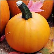 Baby Pam Pumpkin Pumpkin Pumpkin Seeds Delicious Fruit