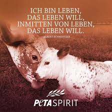 How tall and how much weigh peta jensen? Peta Spirit Alle Zitate Mit Bilder Von Peta Spirit Auf Einem Blick Ausgestopftes Tier Haustier Zitate Geist Zitate