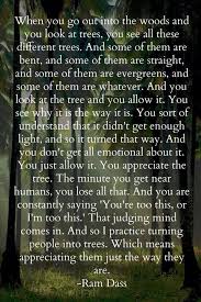 When You Go Out Into The Woods And Look At Trees Words Quotes Wisdom
