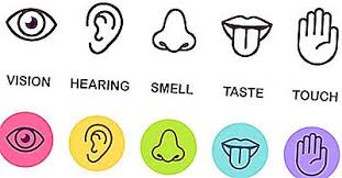 Han bruker alle de fem sansene og menneskets naturlige hunger og tørst til å lede ham bort. Hva Er De Fem Sansene 2021