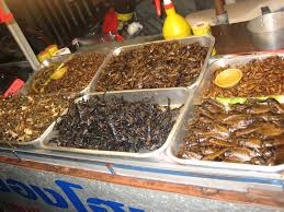 Lacul baikal este cel mai mare lac de apă dulce din lume fără gheață și conține aproximativ 20% din totalul apei dulci din lume. Oare Am Mancat Caine In Taiwan