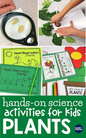 Fun classroom activities for kids. Plant Life Cycle Activities Fun Hands On Science For Kids Around The Kampfire Plants Life Cycle Activities Plant Life Cycle Photosynthesis Activities