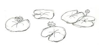 How To Draw And Paint Lovely Lily Pads How to draw lilies for kids.