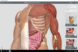 Customer reviews of the complete anatomy platform 20 app. Windows Uk On Twitter Transform Your Anatomical Learning With The Complete Anatomy App On Windows10 By Exploring The Most Detailed 3d Anatomy Model Ever Created Find It Here Https T Co 6vpnnxl0wx Https T Co P4uyy8pnbp