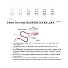 24a + 6b ≤ 300. Jual Buku Mandiri Ipa Smp Kelas 9 Ix K13 Soal Jawaban Kurtilas Jakarta Barat Erlanggaa Jaya Tokopedia
