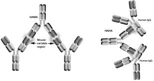 Image result for TNF Inhibitor