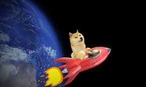 Spacex is going to put a literal dogecoin on the literal moon, musk wrote. Elon Musk S Spacex Is Launching A Moon Satellite Funded By Dogecoin Dazed