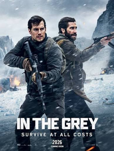 IN THE GREY