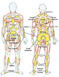 Pin On Massage