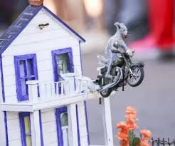 Meet Walter Abney, recipient of the 2024 Clean Team Ambassador of the Year  Award 🏆 Walter's passion for keeping the neighborhood clean and spending  time outdoors shines through in his deep-rooted dedication