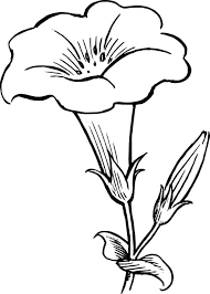 The best selection of free flower vector art, graphics and stock illustrations. Outlines Of Flowers Coloring Home