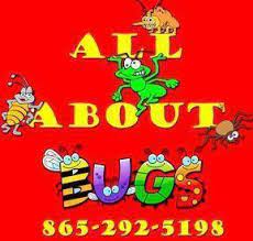 You don't pay until you're happy with our service. All About Bugs Pest Control Home Facebook